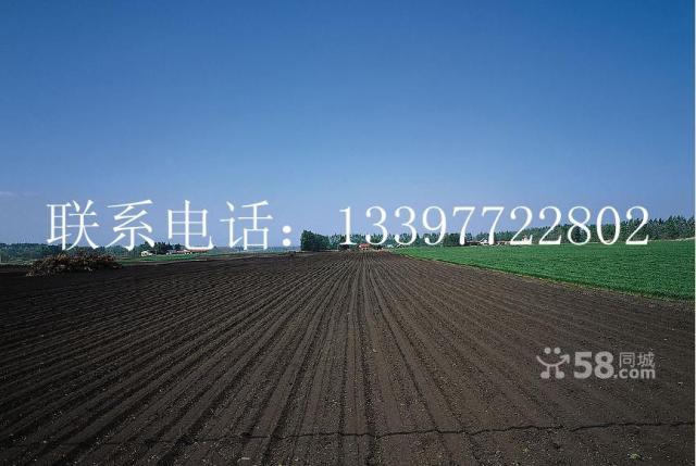 鹿寨雒容镇GDP_鹿寨县鹿寨镇辖区地图