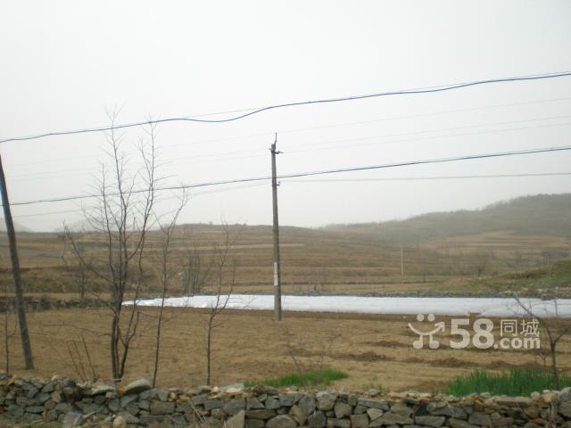 金州出售農(nóng)業(yè)用地-圖(1)