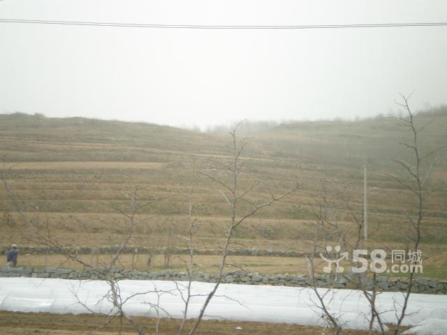 金州出售農(nóng)業(yè)用地-圖(3)