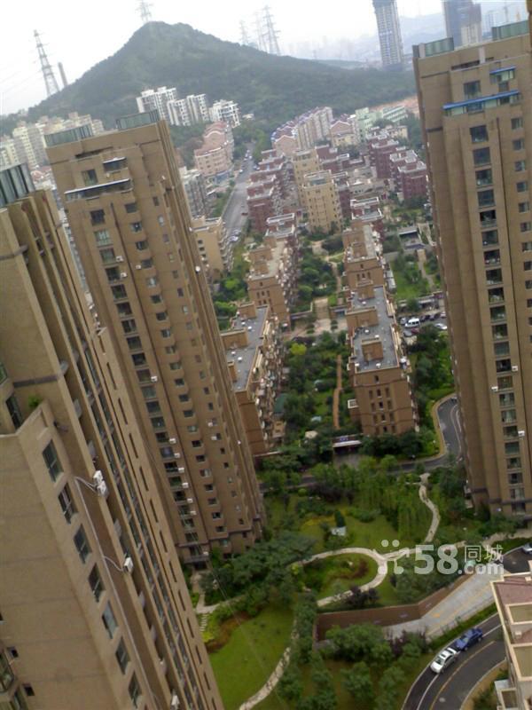 適合倒騰貨高層平臺倉庫,可架天線,星海公園-圖(2)