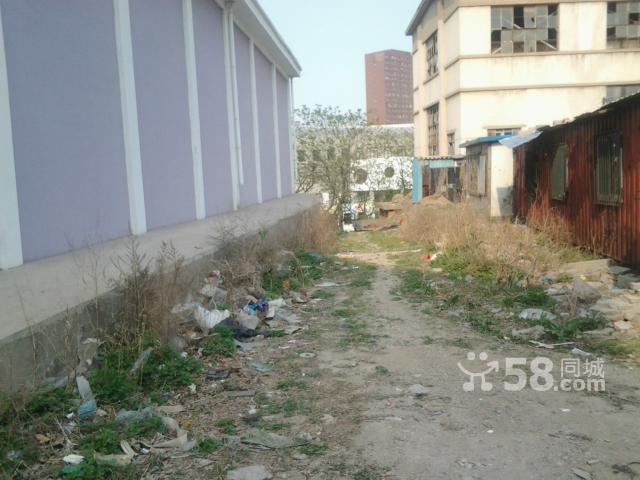 沙河口西南路 西南路熟食品交易中心后身-圖(2)