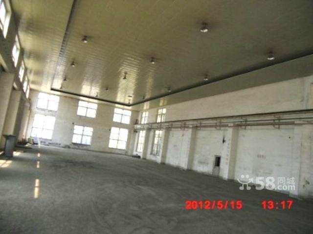 2000平標廠房出租,框架,水,電,動力電,門衛-圖(3)