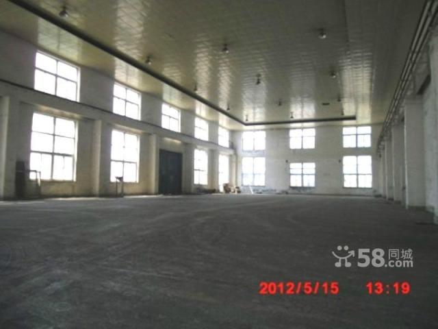 2000平標廠房出租,框架,水,電,動力電,門衛-圖(6)