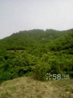 1500畝山 100畝山出手吧-圖(1)