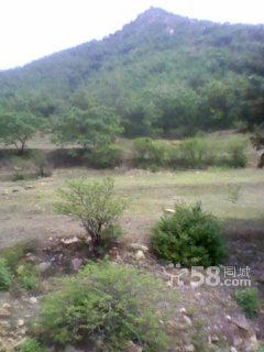 1500畝山 100畝山出手吧-圖(2)