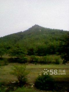 1500畝山 100畝山出手吧-圖(3)
