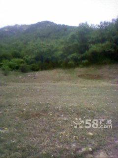 1500畝山 100畝山出手吧-圖(4)