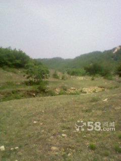 1500畝山 100畝山出手吧-圖(5)