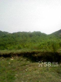 1500畝山 100畝山出手吧-圖(7)