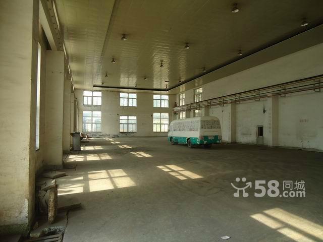 1600平標廠房出租,框架,水,電,動力電8毛-圖(1)