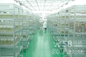 軒儂(大連)工程技術有限公司 專業溫室大棚安裝-圖(6)