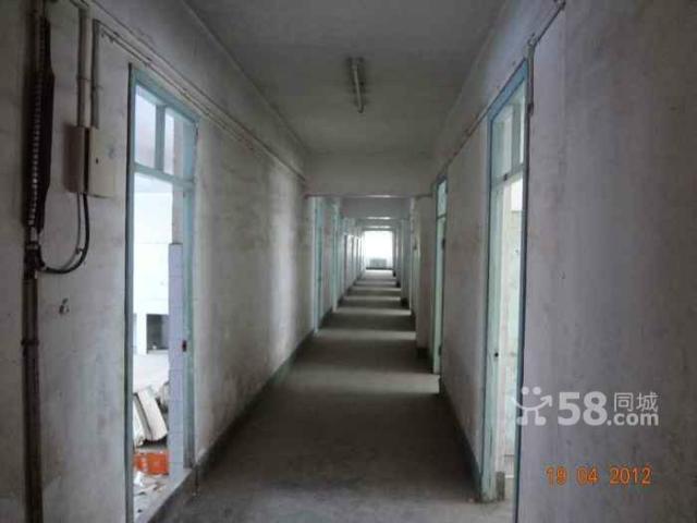 保稅區(qū)北門兩棟獨樓出售-圖(1)