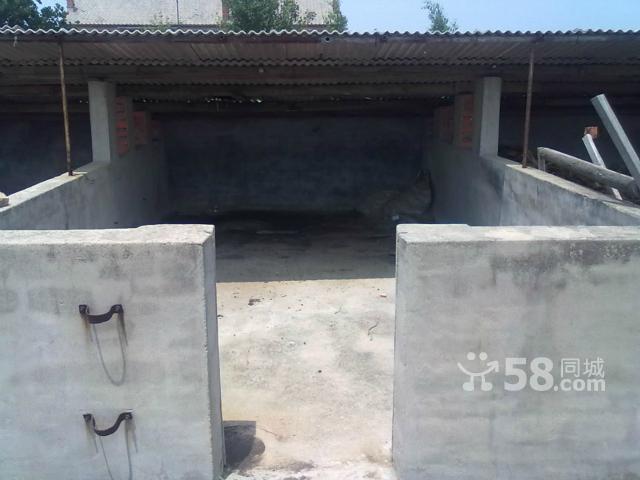 正規新養殖基地,主要養豬出租(個人)-圖（4）