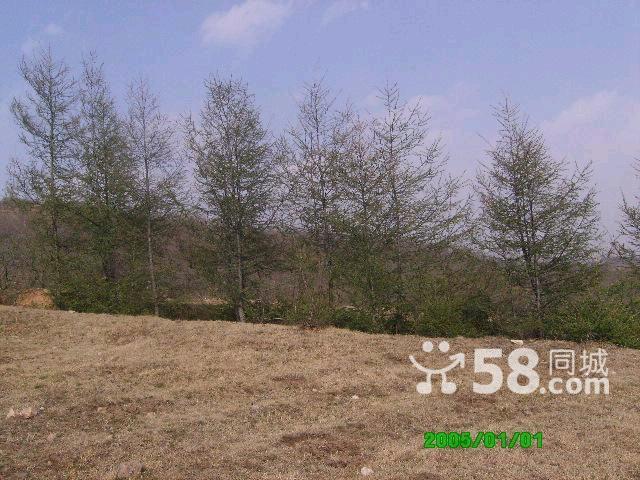 荒山的利用及開發(fā)-圖(2)