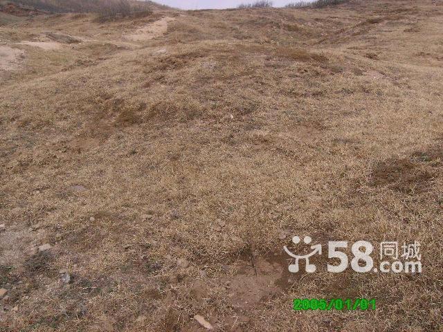 荒山的利用及開發(fā)-圖(4)