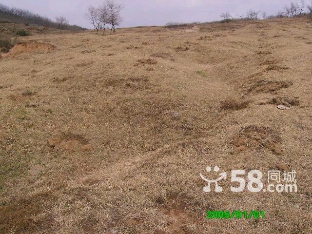 荒山的利用及開發(fā)-圖(6)