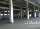 金州馬家新村4600平廠房出租-圖(1)