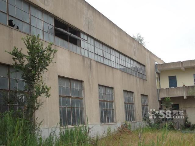 廠房和空地對外出租-圖(4)