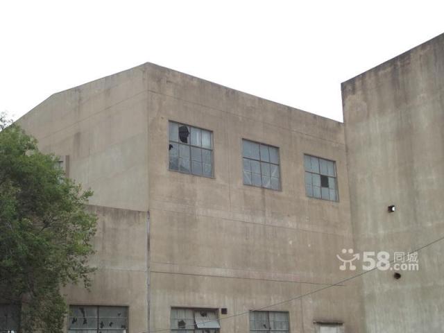 廠房和空地對外出租-圖(5)