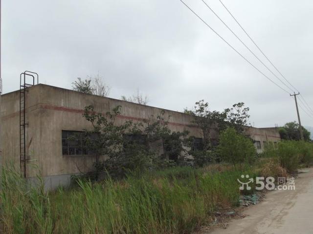 廠房和空地對外出租-圖(6)
