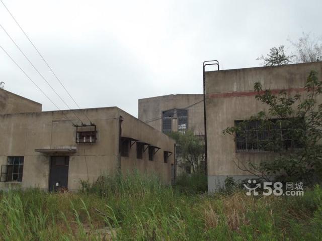 廠房和空地對外出租-圖(7)