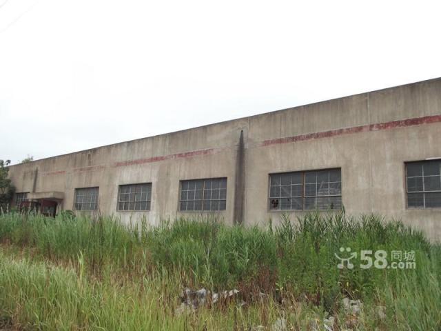 廠房和空地對外出租-圖(8)