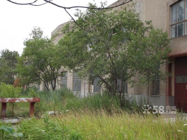 現有大量廠房和土地出租-圖(3)