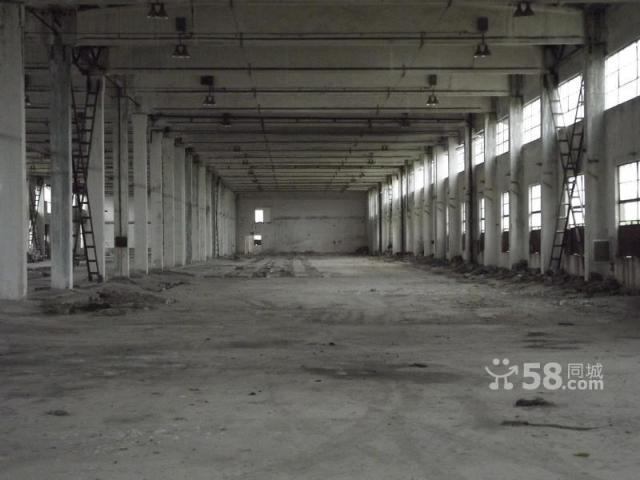 現有大量廠房和土地出租-圖(4)