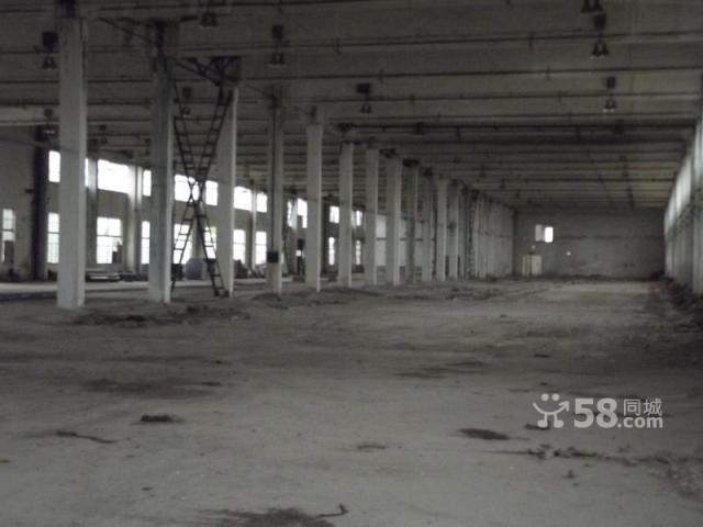 現有大量廠房和土地出租-圖(5)