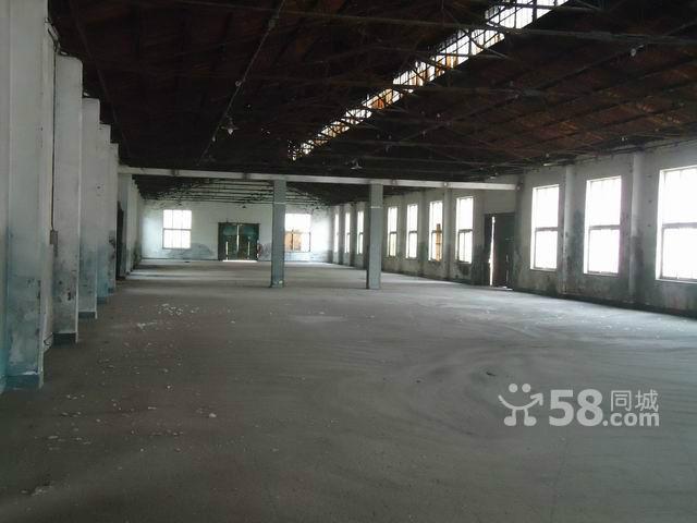 松江路燈具市場多套標準倉庫對外出租(手續全)0.6-圖(1)