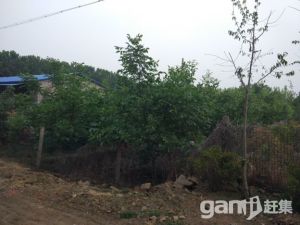 城頭開發區附近土地轉讓-圖（2）