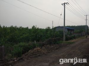 城頭開發區附近土地轉讓-圖（3）