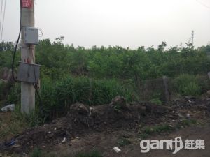 城頭開發區附近土地轉讓-圖（4）
