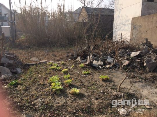 出售海州蘇莊兩層樓房一棟和一塊16x16的地皮!-圖（4）