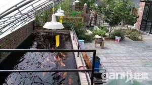 城市里的私家花園獨(dú)門獨(dú)院-圖(1)