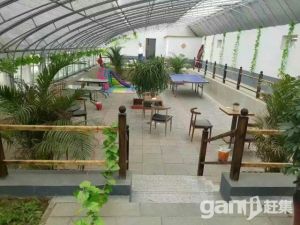 城市里的私家花園獨(dú)門獨(dú)院-圖(2)