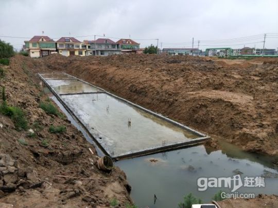 紫菜加工育苗土地出租-圖（1）