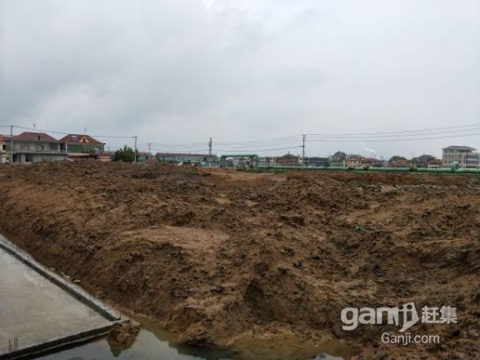 紫菜加工育苗土地出租-圖（2）