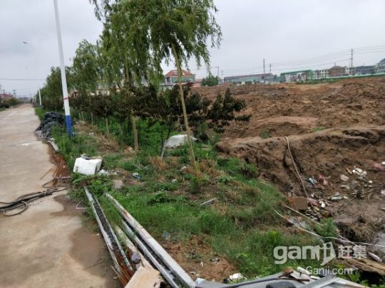 紫菜加工育苗土地出租-圖（3）