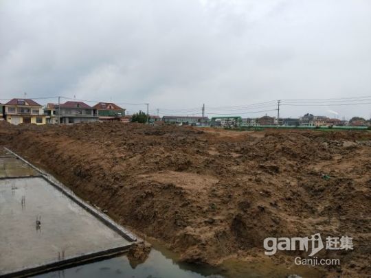 紫菜加工育苗土地出租-圖（4）