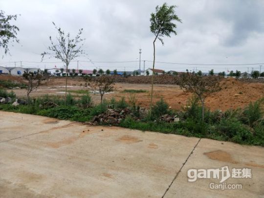 紫菜加工育苗土地出租-圖（6）