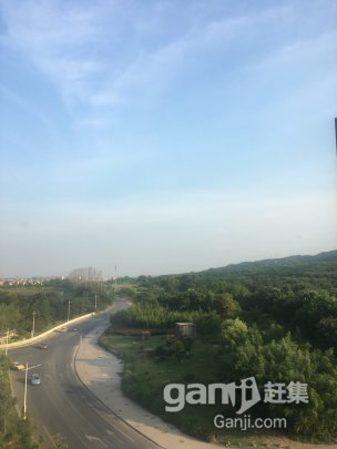 贛榆 土地出租-圖(1)