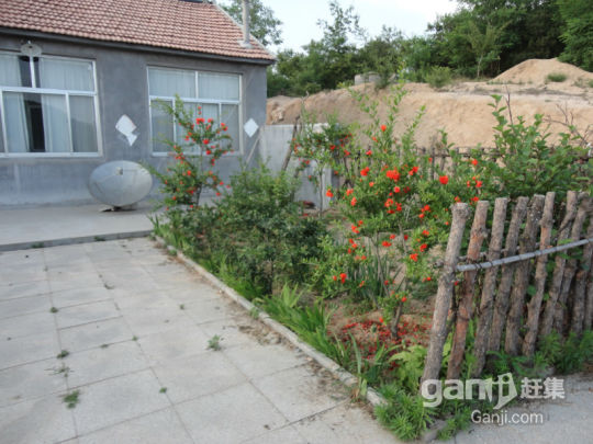 一百畝和二百畝兩處山林地低價出租或轉讓-圖（2）