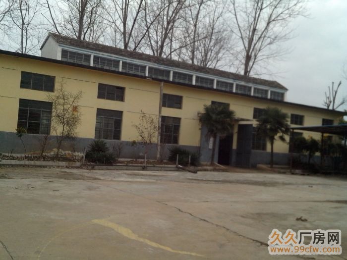 灌南縣六塘街1000平方房屋出租與技術合作投資-圖（1）