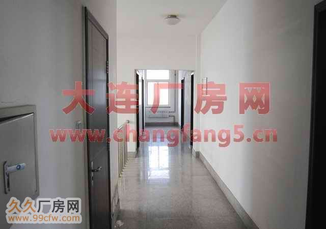保稅區(qū)亮甲店工業(yè)新廠房場(chǎng)地出租-圖(6)