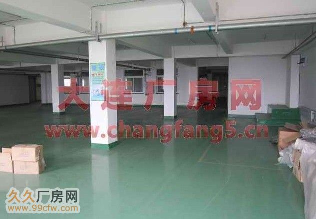 保稅區(qū)亮甲店工業(yè)新廠房場(chǎng)地出租-圖(7)