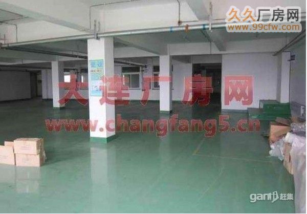 保稅區亮甲店工業區廠房場地出租-圖(5)
