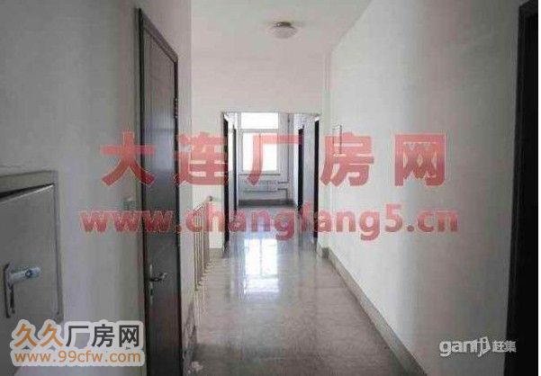 保稅區亮甲店工業區廠房場地出租-圖(6)