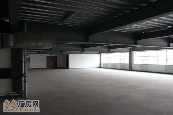 出租出售8000平廠房-圖(6)