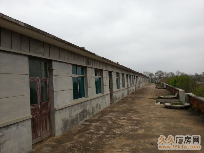 出租出售國有土地證塑料廠-圖(1)